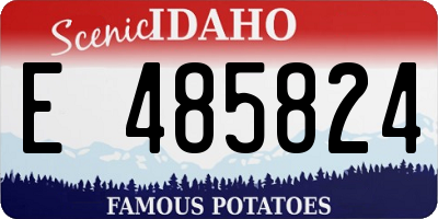 ID license plate E485824