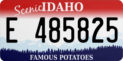 ID license plate E485825