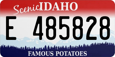 ID license plate E485828