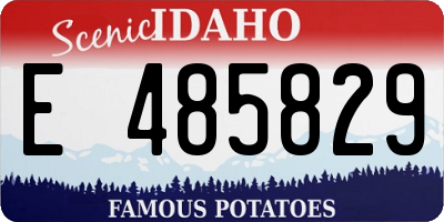 ID license plate E485829