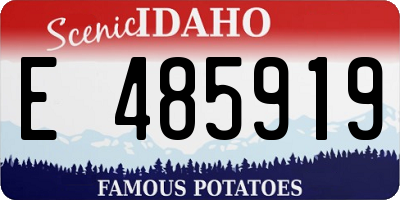 ID license plate E485919