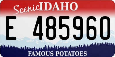 ID license plate E485960