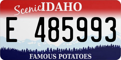 ID license plate E485993