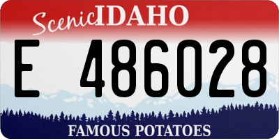 ID license plate E486028