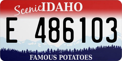 ID license plate E486103