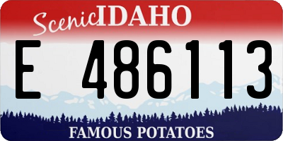 ID license plate E486113