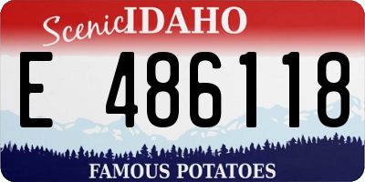 ID license plate E486118