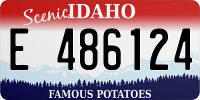ID license plate E486124