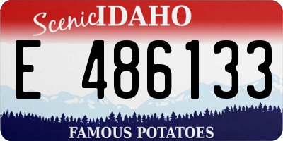 ID license plate E486133
