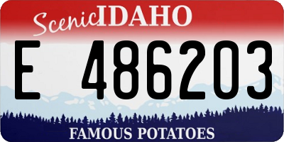 ID license plate E486203
