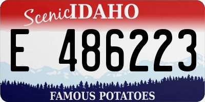 ID license plate E486223