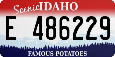 ID license plate E486229