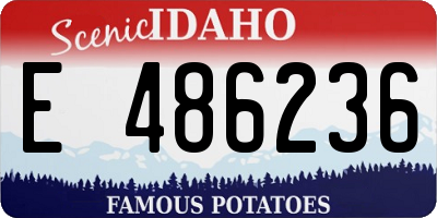 ID license plate E486236