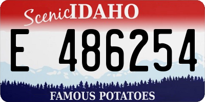 ID license plate E486254
