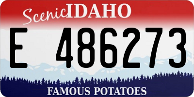 ID license plate E486273