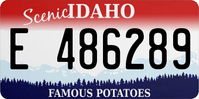 ID license plate E486289