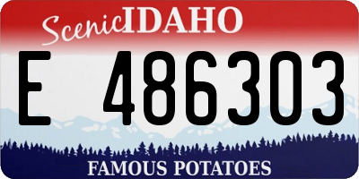 ID license plate E486303