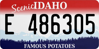 ID license plate E486305