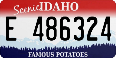 ID license plate E486324