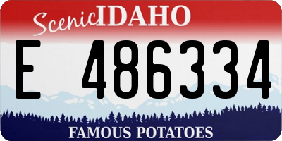 ID license plate E486334