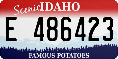 ID license plate E486423