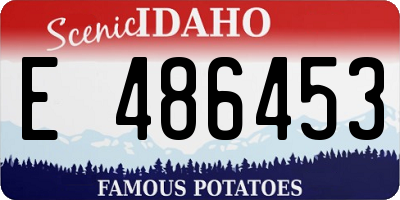 ID license plate E486453