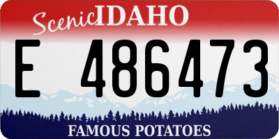 ID license plate E486473