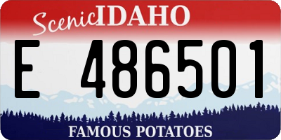 ID license plate E486501