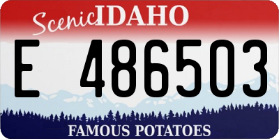 ID license plate E486503