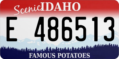 ID license plate E486513