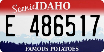 ID license plate E486517