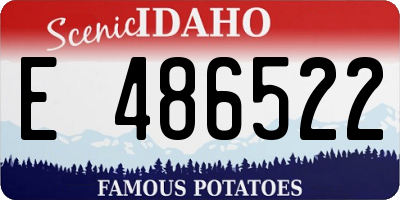 ID license plate E486522
