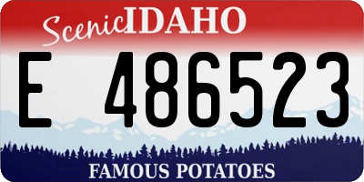 ID license plate E486523