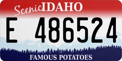ID license plate E486524