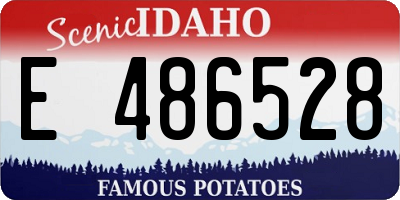 ID license plate E486528