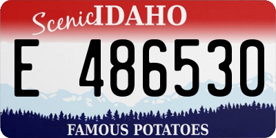 ID license plate E486530