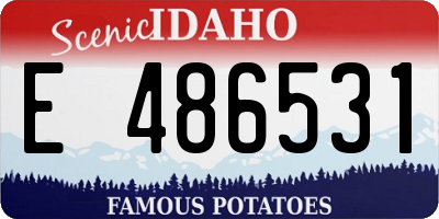 ID license plate E486531