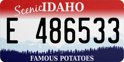ID license plate E486533