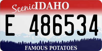 ID license plate E486534