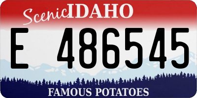 ID license plate E486545