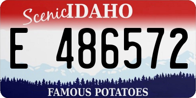 ID license plate E486572
