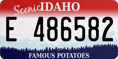 ID license plate E486582