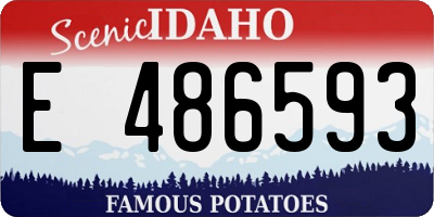 ID license plate E486593