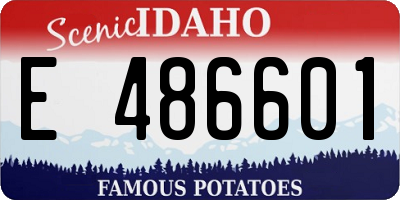 ID license plate E486601