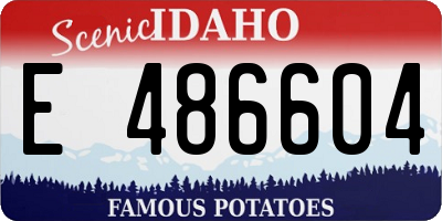 ID license plate E486604