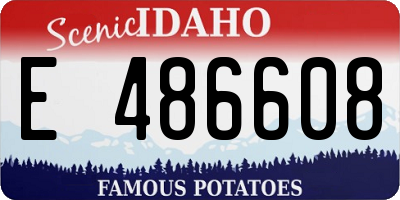 ID license plate E486608