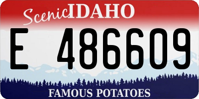 ID license plate E486609