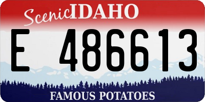 ID license plate E486613