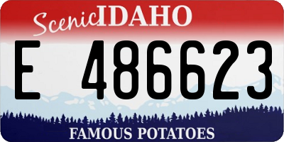 ID license plate E486623
