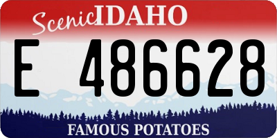 ID license plate E486628